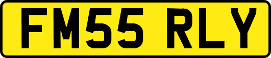 FM55RLY