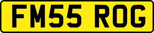 FM55ROG