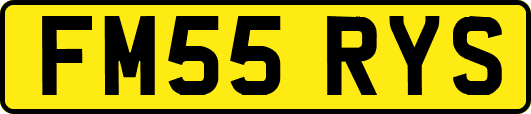 FM55RYS