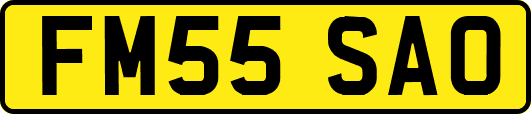 FM55SAO