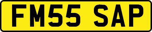 FM55SAP