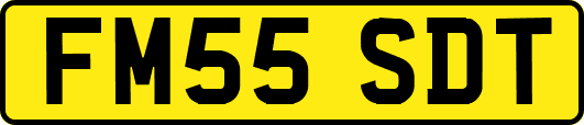 FM55SDT