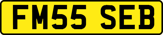 FM55SEB