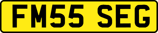 FM55SEG