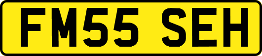 FM55SEH