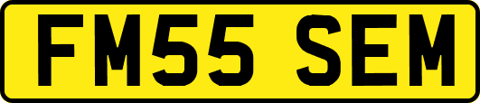 FM55SEM