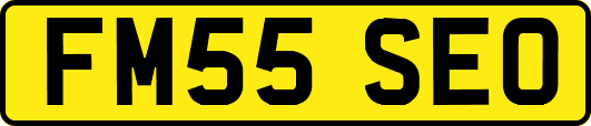 FM55SEO