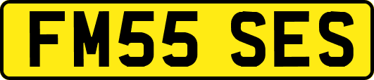 FM55SES