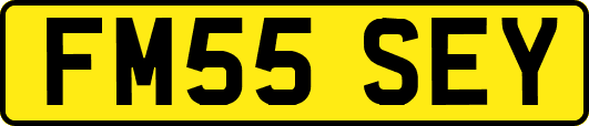 FM55SEY