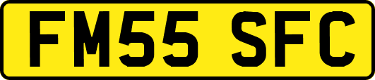 FM55SFC