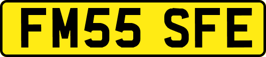 FM55SFE