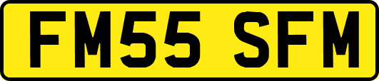 FM55SFM
