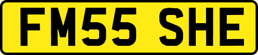 FM55SHE