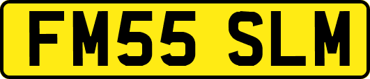 FM55SLM