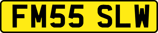 FM55SLW