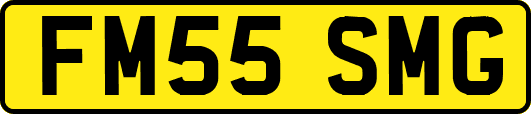 FM55SMG