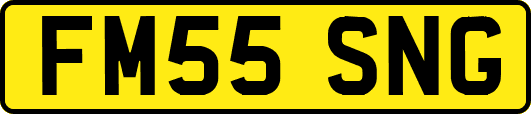 FM55SNG