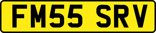 FM55SRV