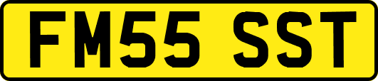 FM55SST