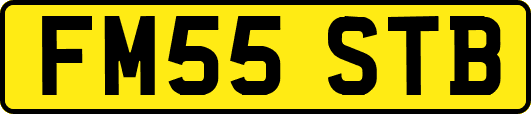 FM55STB