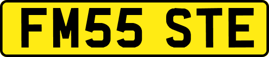 FM55STE