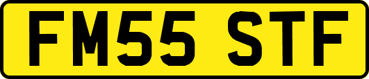 FM55STF