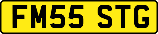 FM55STG