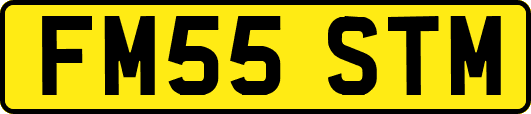 FM55STM