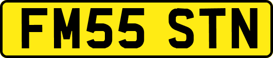 FM55STN