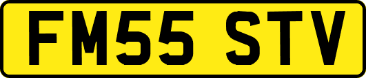 FM55STV