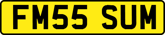 FM55SUM