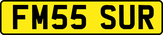 FM55SUR