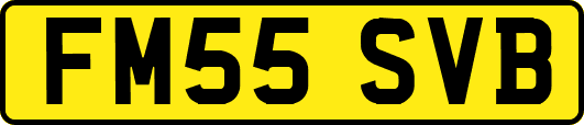 FM55SVB