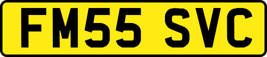 FM55SVC