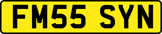 FM55SYN