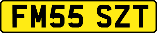 FM55SZT