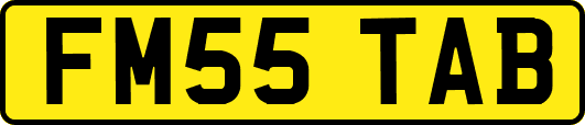 FM55TAB
