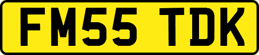 FM55TDK