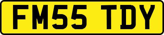 FM55TDY