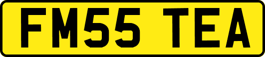 FM55TEA