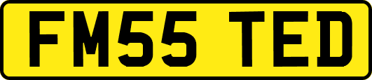 FM55TED