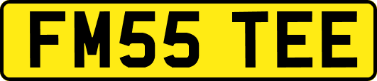 FM55TEE