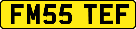 FM55TEF