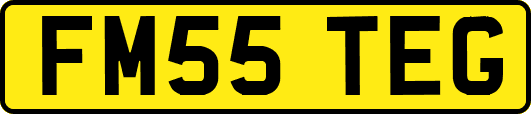 FM55TEG