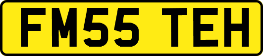 FM55TEH