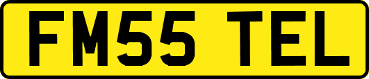 FM55TEL