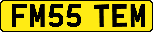 FM55TEM