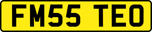 FM55TEO