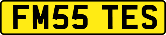 FM55TES