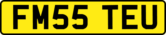 FM55TEU